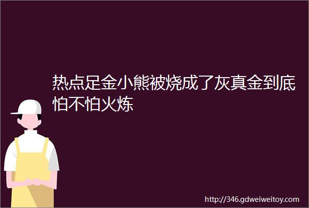 热点足金小熊被烧成了灰真金到底怕不怕火炼